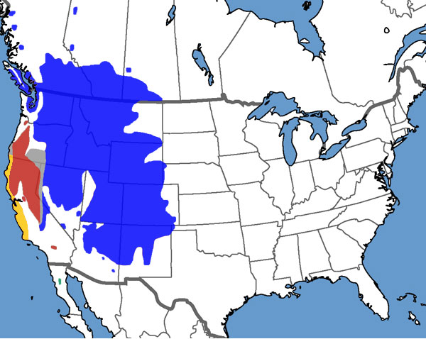 Full Species Range Map