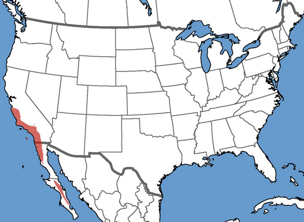 Full Species Range Map