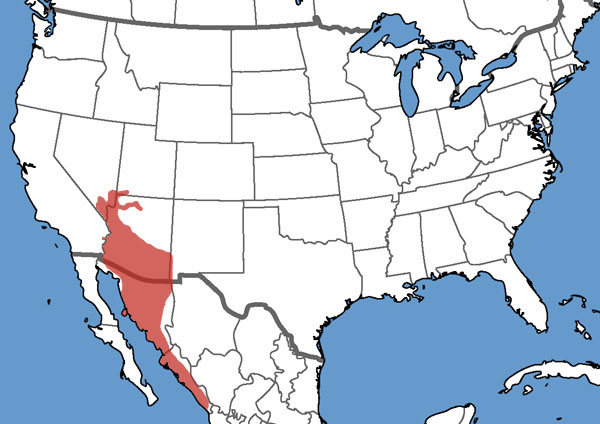 Full Species Range Map