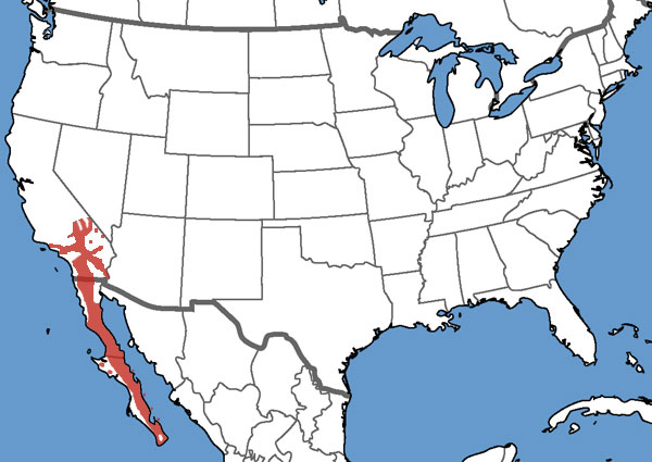 Full Species Range Map
