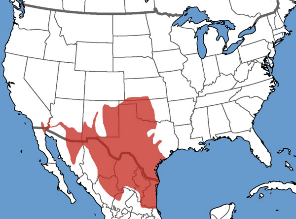 Full Species Range Map