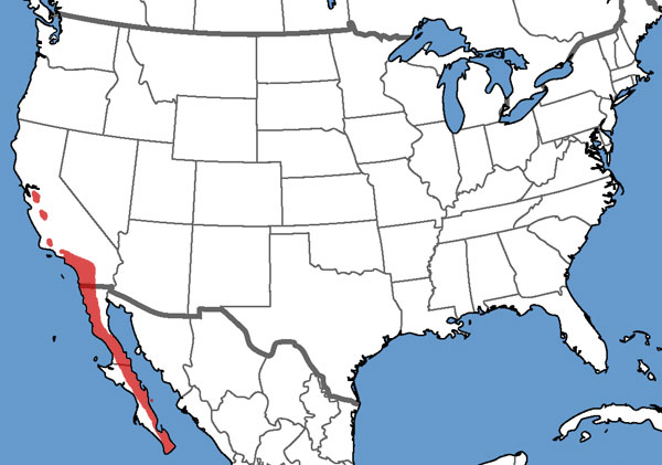 Full Species Range Map