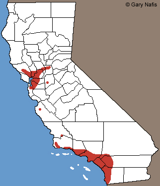 Western Painted Turtle California Locations