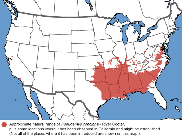 Full Species Range Map